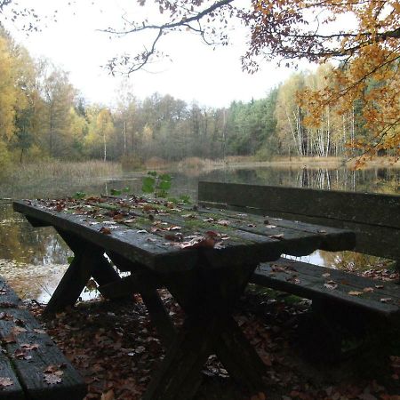 Ferienwohnung Bockelt Stadtlauringen ภายนอก รูปภาพ