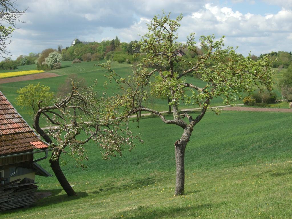 Ferienwohnung Bockelt Stadtlauringen ภายนอก รูปภาพ