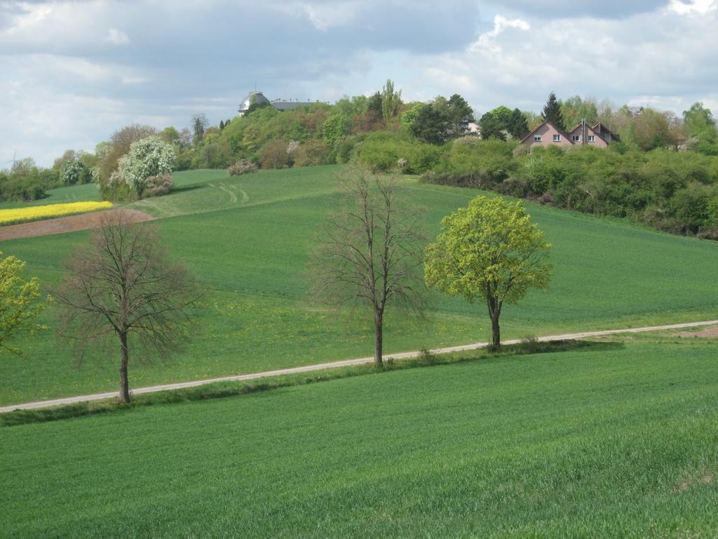 Ferienwohnung Bockelt Stadtlauringen ภายนอก รูปภาพ